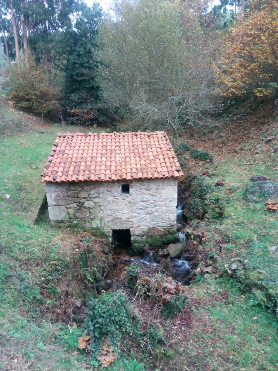 Mar Y Montana Guest House Ferrol Eksteriør bilde